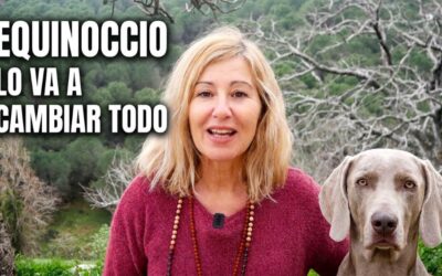 EQUINOCCIO: SIGNIFICADO ESPIRITUAL Y COMO PREPARARTE DESDE LA CIENCIA Y LA CONSCIENCIA